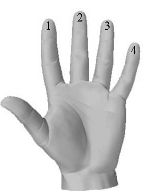 hand with numbers on fingertips